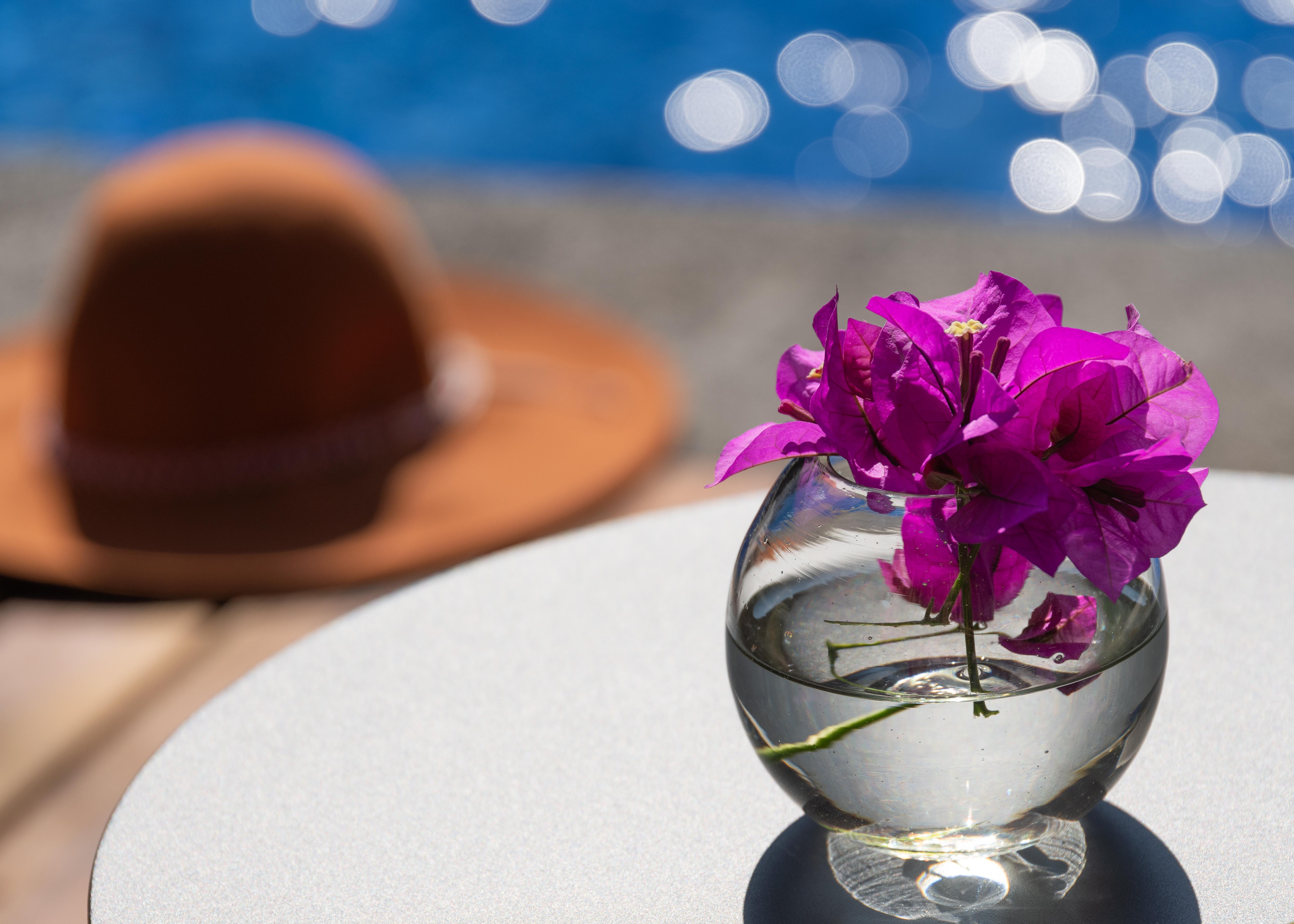 Matian Hotel Boutique Tequisquiapan Dış mekan fotoğraf